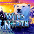 Wild North