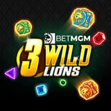 3 Wild Lions