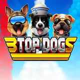 3 Top Dogs