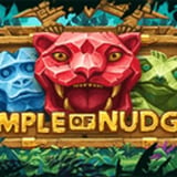 Temples of Nudges