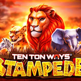 Ten Ton Ways Stampede