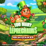 Too Many Leprechauns High Stakes