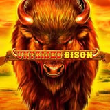 Untamed Bison