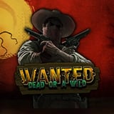 Wanted Dead or a Wild