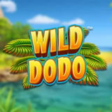Wild Dodo