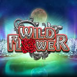 Wild Flower