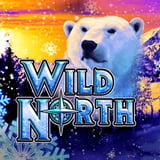Wild North