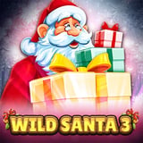 Wild Santa 3