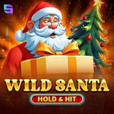 Wild Santa - Hold and Hit