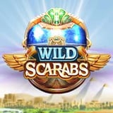 Wild Scarabs
