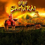 Wild Wild Samurai