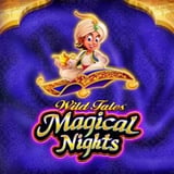 Wild Tales Magical Nights