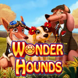 Wonder Hounds Touch