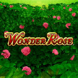 Wonder Rose