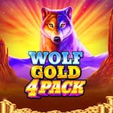 Wolf Gold 4 Pack