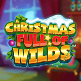 A Christmas Full of Wilds