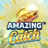 Amazing Catch Desktop