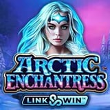 Arctic Enchantress Desktop