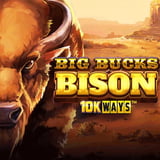 Big Bucks Bison 10K Ways