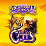 Cats Diamond Spins