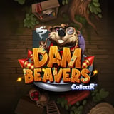 Dam Beavers