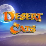 Desert Cats