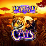 Diamond Spins Cats