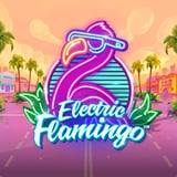 Electric Flamingo