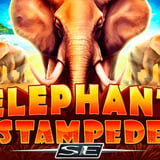 Elephant Stampede SE