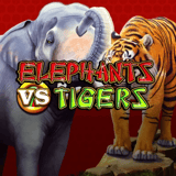 Elephants vs Tigers