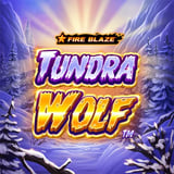 Fire Blaze™: Tundra Wolf™