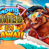 Going Wild In Hawaii