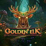 Golden Elk