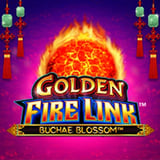Golden Fire Link Buchae Blossom