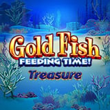 Gold Fish Feeding Time!