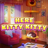 Here Kitty Kitty