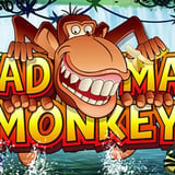 Mad Mad Monkey HQ