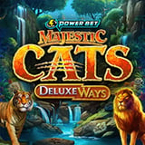 Majestic Cats DeluxeWays