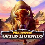 Majestic Wild Buffalo