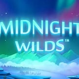 Midnight Wild™