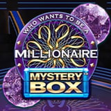Millionaire Mystery Box