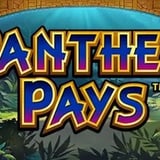 Panther Pays