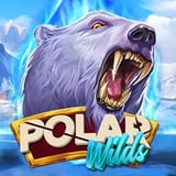 Polar Wilds