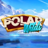 Polar Wilds Arctic Circles