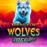 Run With The Wolves