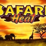 Safari Heat