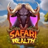 Safari of Wealth