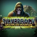 Silverback Multiplier Mountain