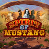 Spirit Of Mustang