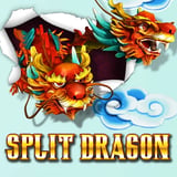 Split Dragon